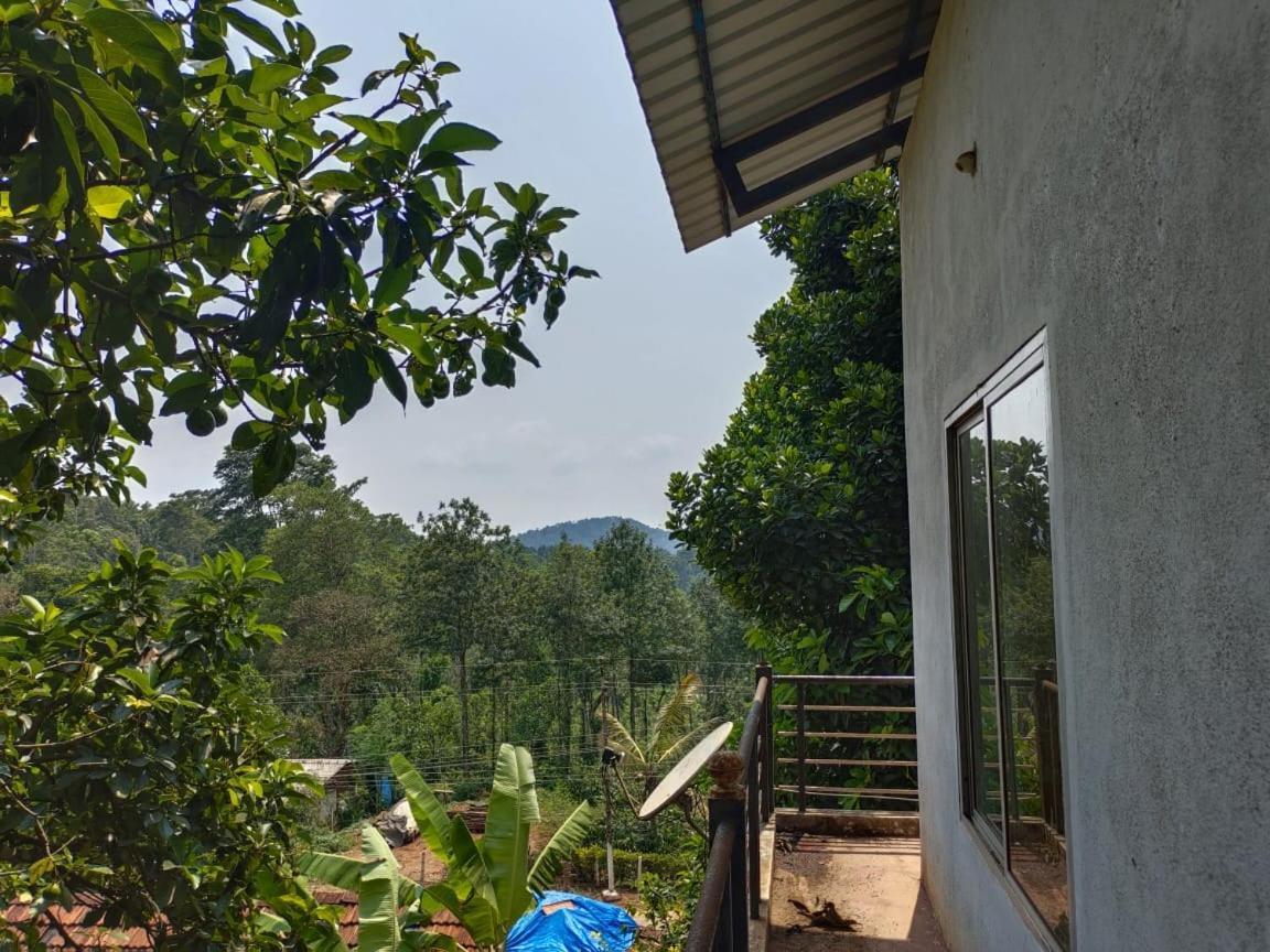 Green Land Estate Homestay 5 Rooms With Garden View 马迪凯里 外观 照片
