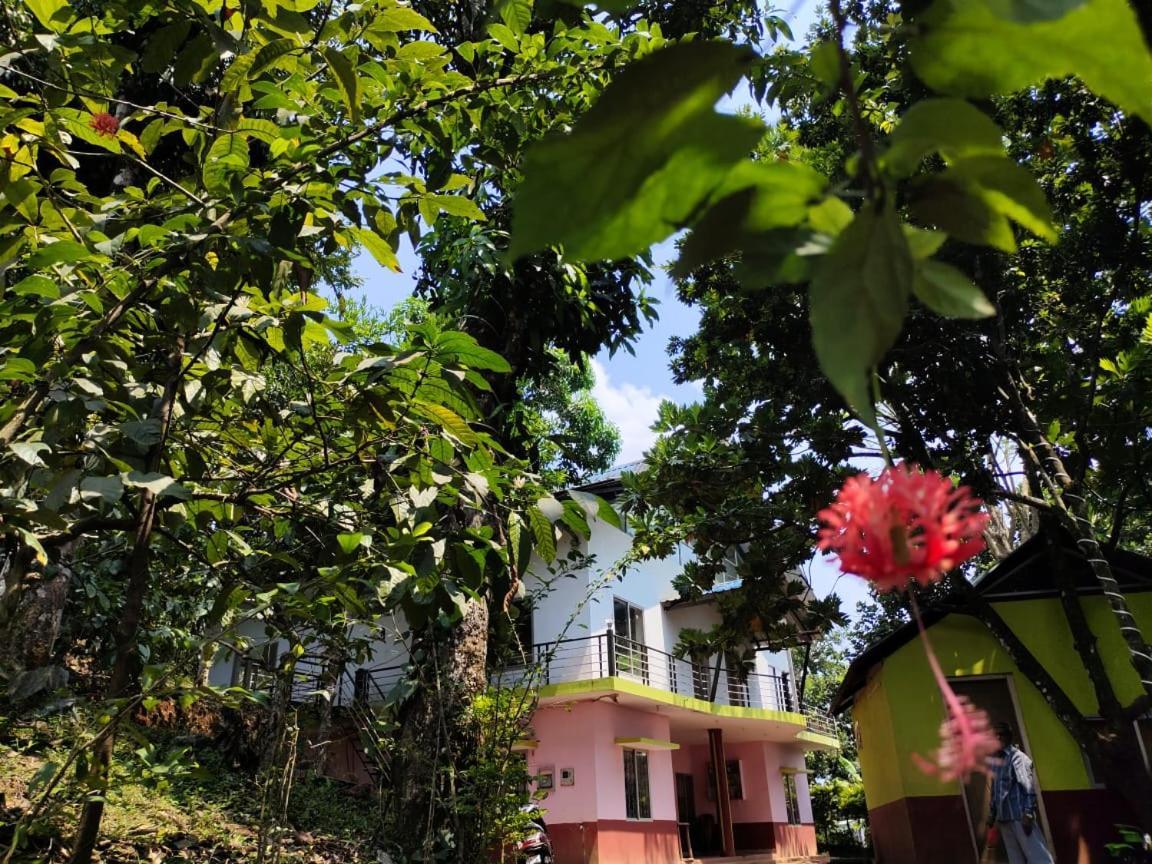 Green Land Estate Homestay 5 Rooms With Garden View 马迪凯里 外观 照片
